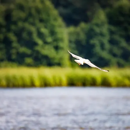 Pan Tadeusz מלון