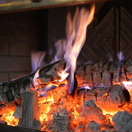 Pan Tadeusz 3* סרוק